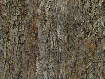 Dark Taupe Bark Natural Decoration Map texture (ID:ffaeh948626)