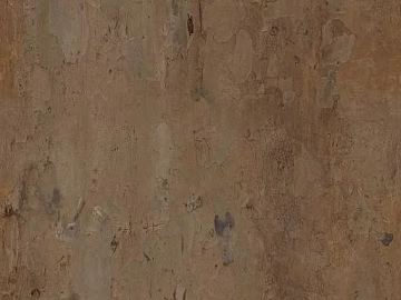 bark texture (ID:ffajg25675)