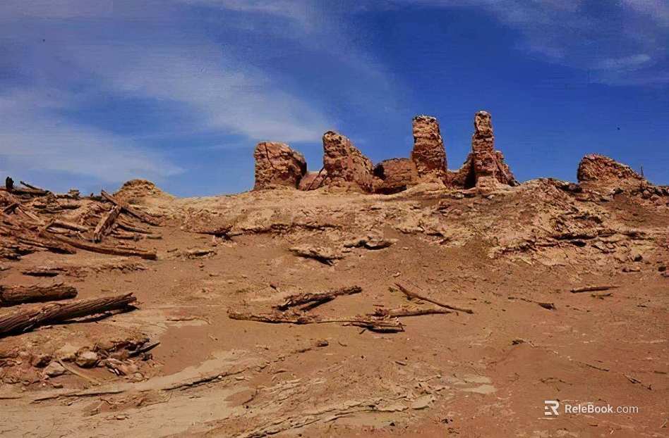 Wild Scenery texture
