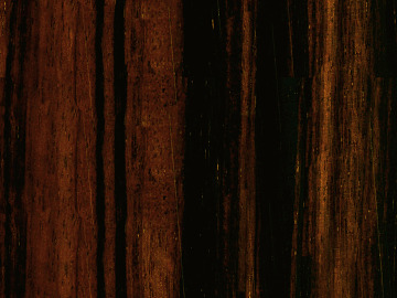 Wood grain black walnut color door seamless texture (ID:ffagg55648)