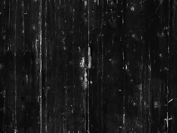 Black and white wood grain texture (ID:ffaeg64329)