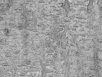 Light gray bark texture wall decoration (ID:ffaeh821184)