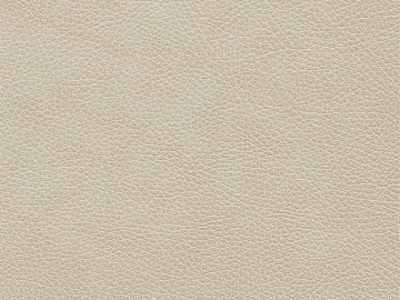 fine grain leather texture (ID:ffacg38374)