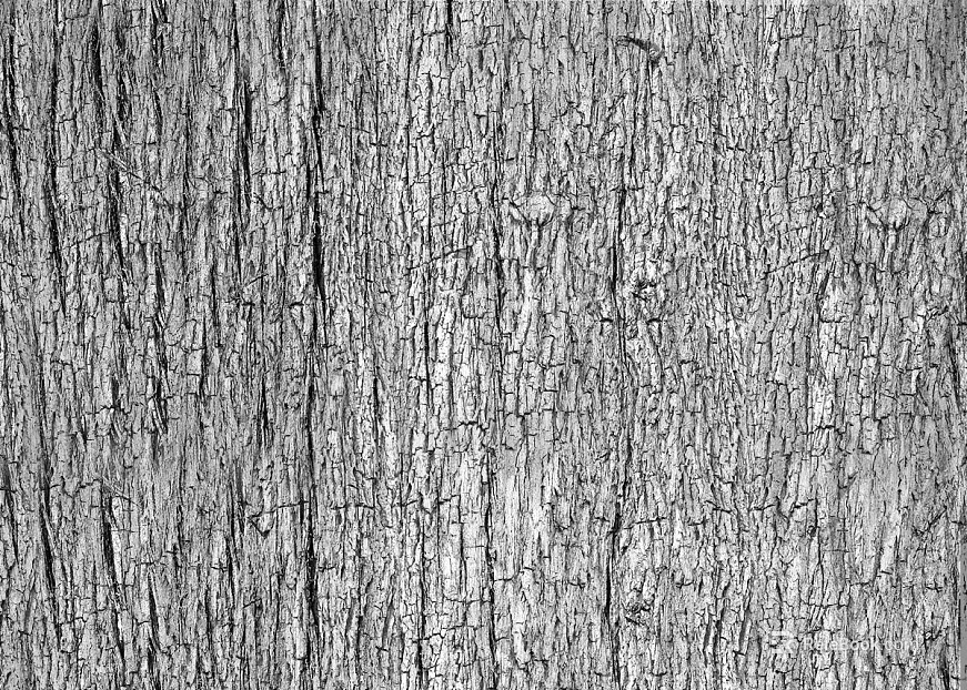 Black and White Bump texture