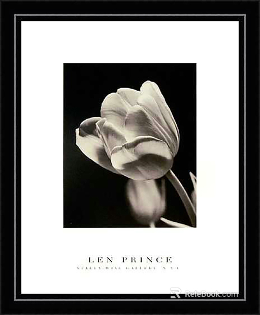 Modern Flower Plant Painting texture