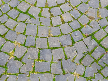 Outdoor ground grass planting brick lawn brick permeable brick parking space paving texture (ID:ffaeh016852)