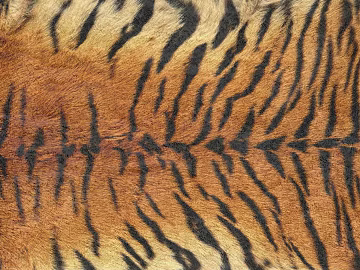 Animal Blanket texture (ID:ffaag96872)