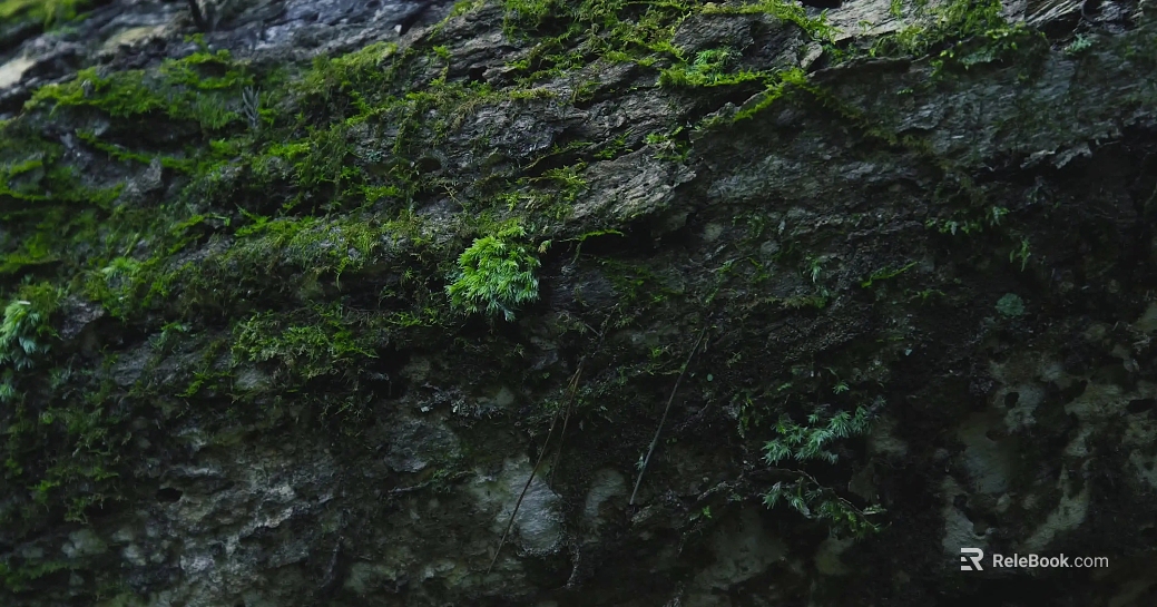 mountain rock wall texture