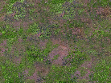 moss texture (ID:ffabg18233)