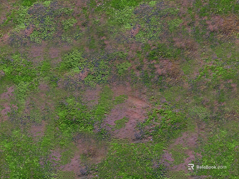 moss texture