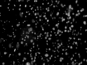 Snowy Snowflake Weather Highlight Mask texture (ID:ffach869593)