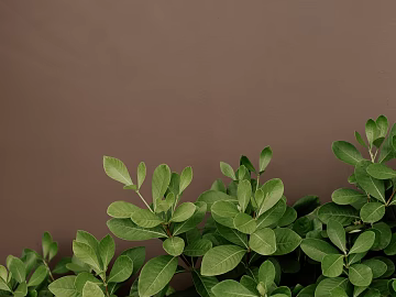 Plant painting texture (ID:ffagg16138)