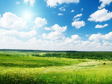 Wild Scenery texture (ID:ffaeg22957)