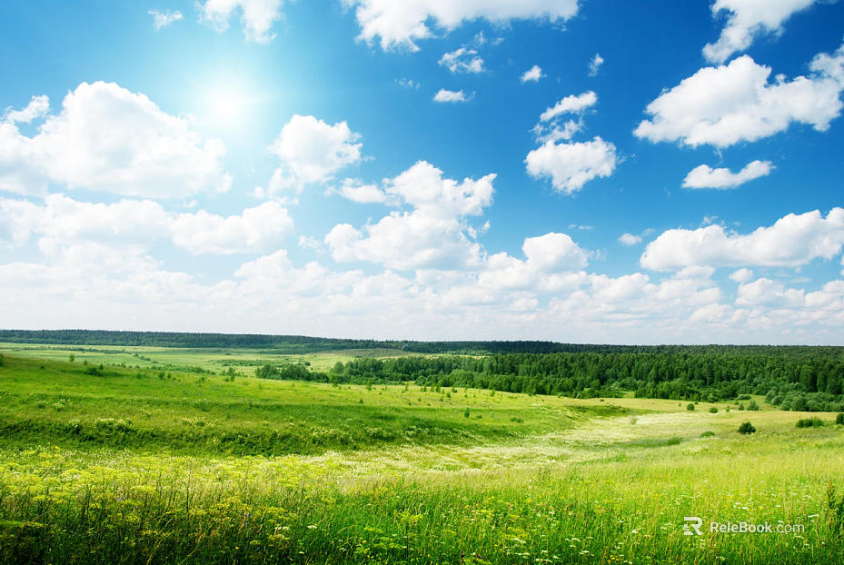 Wild Scenery texture