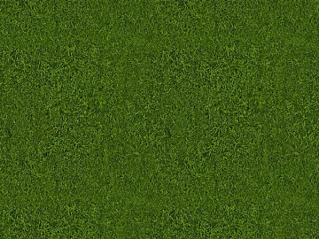 Turf texture (ID:ffajg16105)