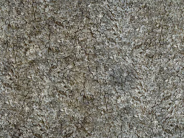 bark texture (ID:ffajg56430)