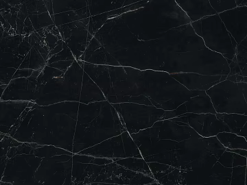 Astor black marble texture (ID:ffacg53546)