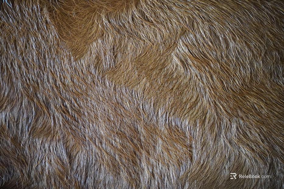 animal fur texture