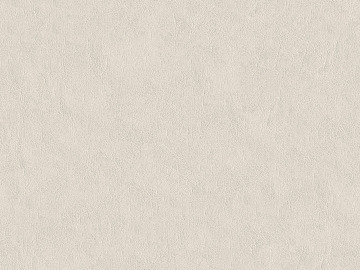 fine grain leather texture (ID:ffagg19639)