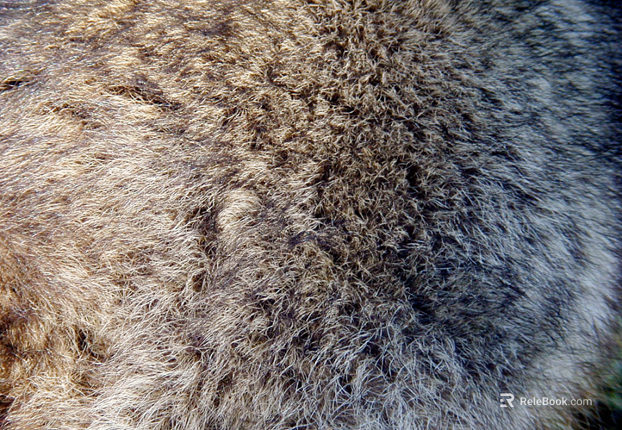 Blanket texture