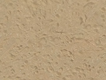 Beach Beach texture (ID:ffabf4005)