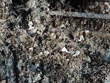 Ground texture (ID:ffagg58551)