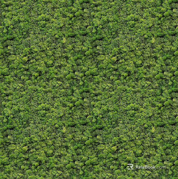 immortal moss texture