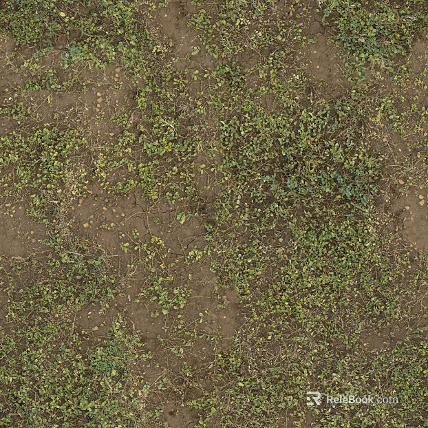 Turf texture