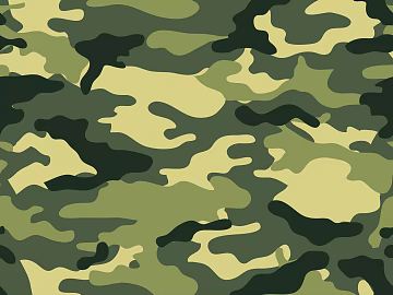 camouflage cloth pattern texture (ID:ffagg02653)