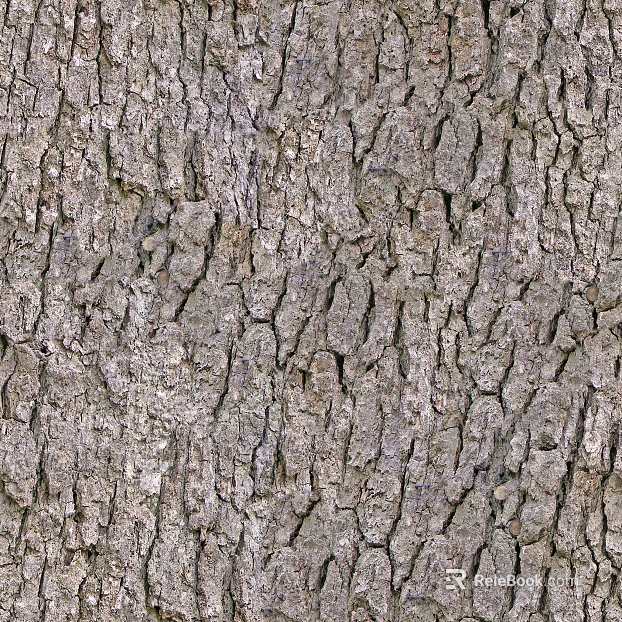 bark texture