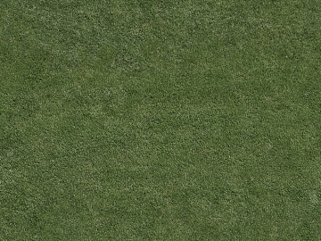 Turf texture (ID:ffaag23270)