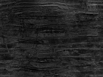 Black and White Bump texture (ID:ffaag92254)