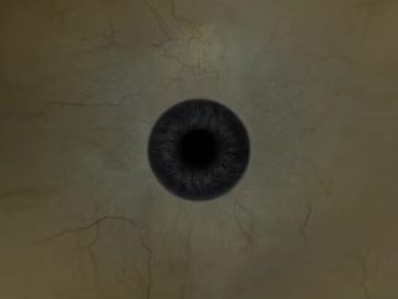 Light beige human eye iris map texture (ID:ffaeh790066)