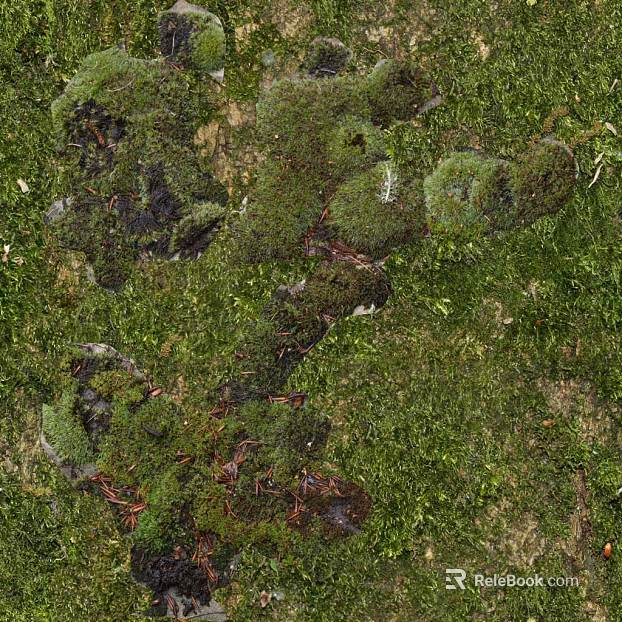 moss texture
