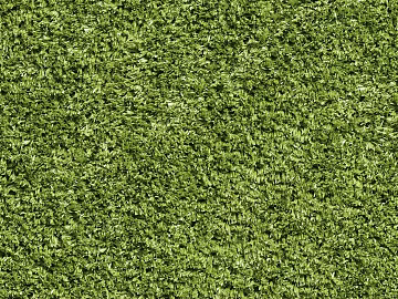 Lawn texture (ID:ffach087724)