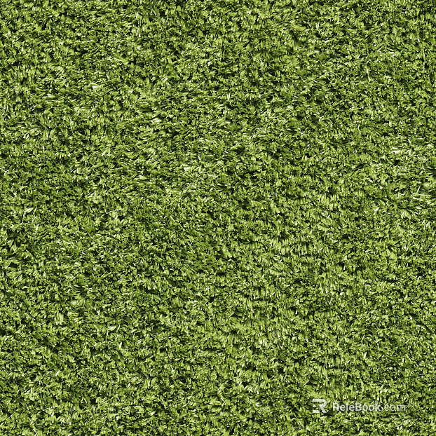 Lawn texture
