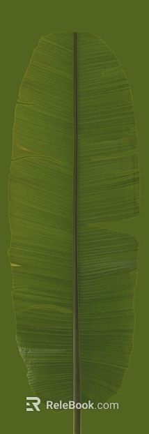 Green banana leaves, natural decorative material texture