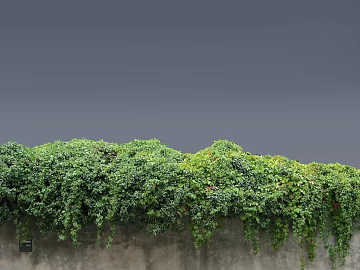 Plants texture (ID:ffabg05454)