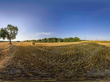 Outdoor Field Field Daytime HDR texture (ID:ffach203146)