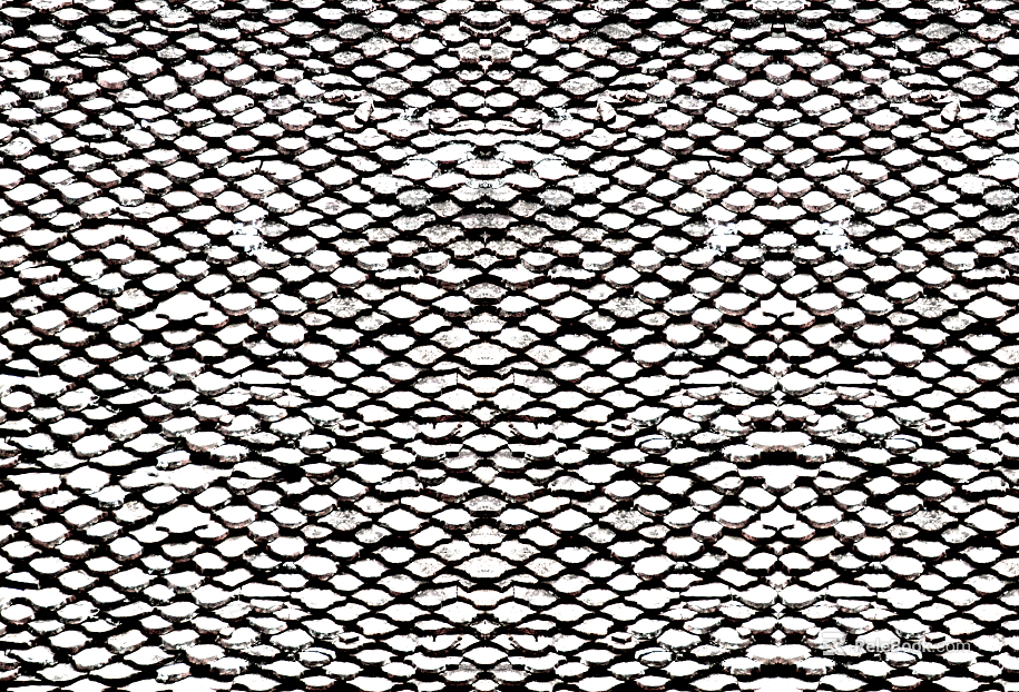 Black and White Bump texture