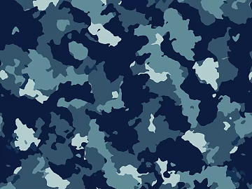camouflage cloth pattern texture (ID:ffagg33608)