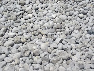 Pebbles texture (ID:ffaag43652)