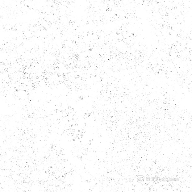 Highlight Mask texture