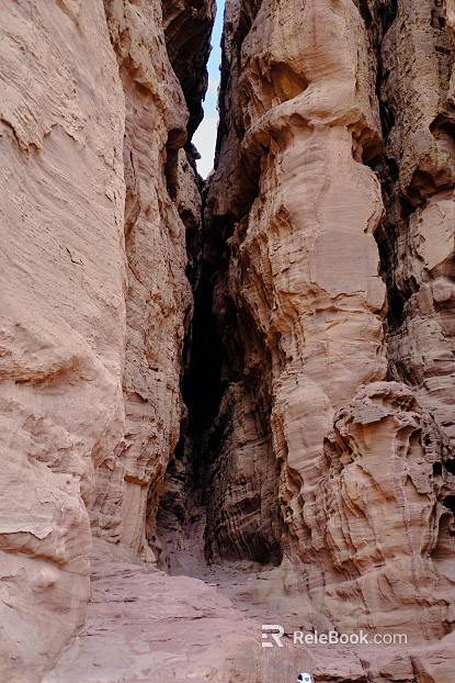 Wild Scenery texture