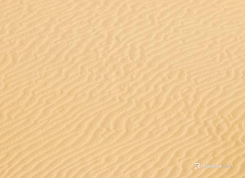 Beach texture