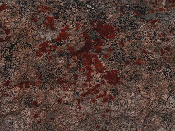 bark texture (ID:ffagg29125)