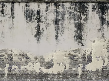 Brick wall white old latex paint texture (ID:ffaeg20223)