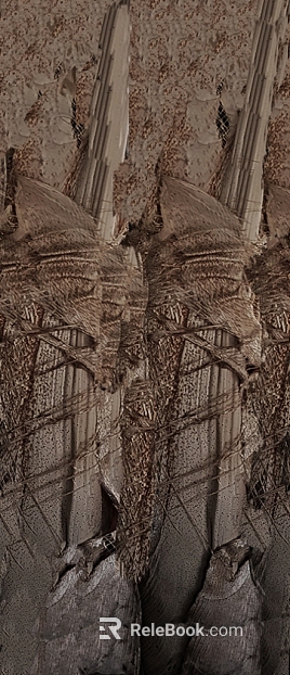 bark texture