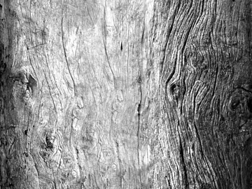 Black and White Bump texture (ID:ffajg13479)