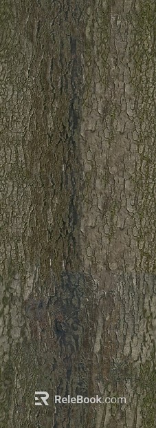 bark texture